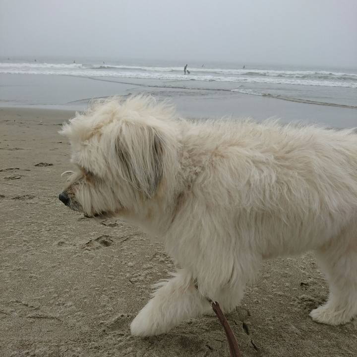 3d112704 6dc6 4c1d a15c 371c68e9e506