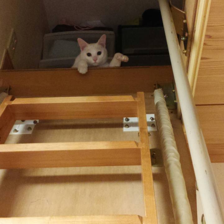 3d1160cf e51c 4167 b76a 30ef4c2f4841