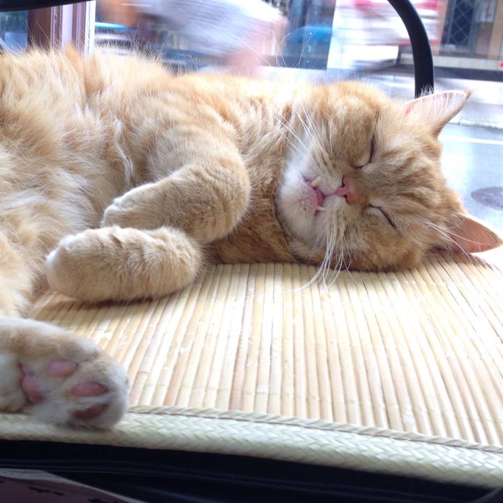 3d1179f7 f8a4 4cda a9ff b2c78d56d7bd