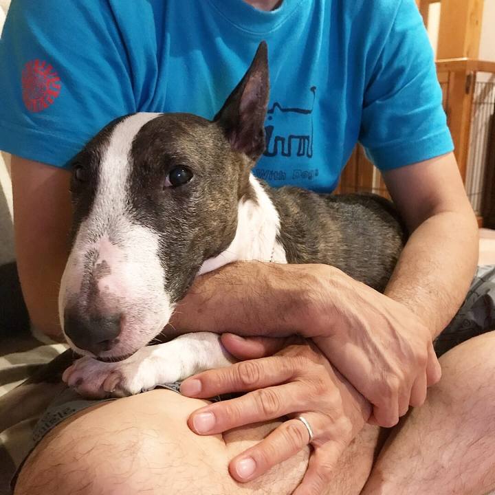 3d11f224 e831 4924 84ea c17e5c80bad3