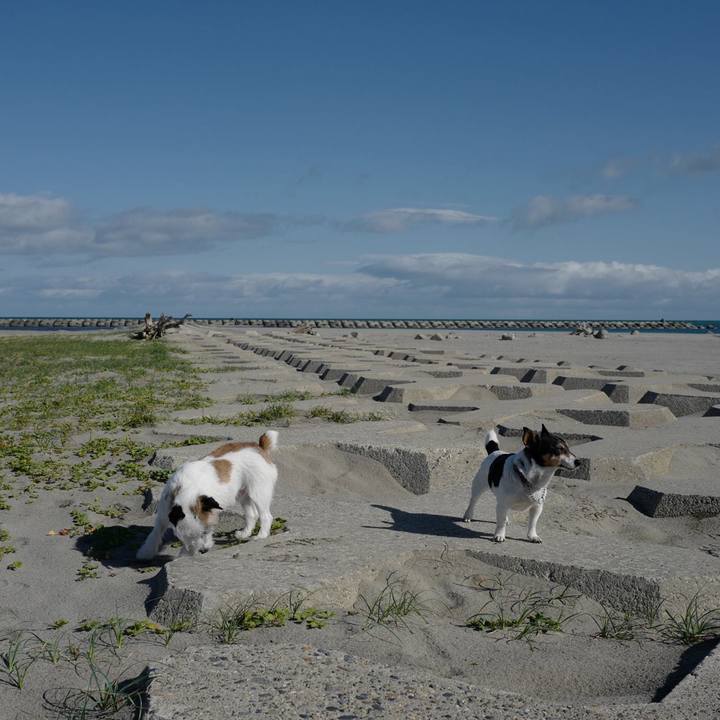 3d12288e 3783 47ab a1c9 e0883e432a84