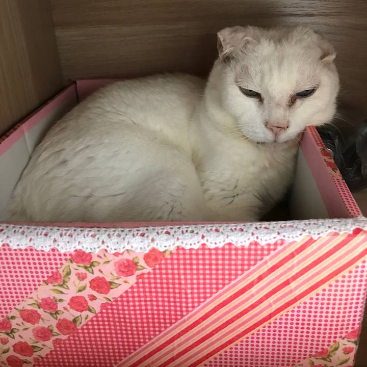 3d127351 5928 40e8 a77d a07f39a9b993