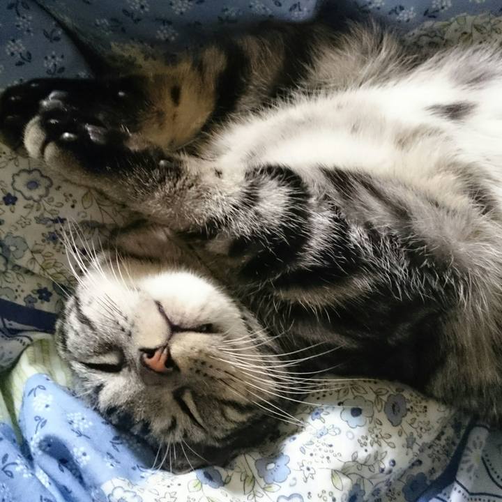 3d12fe25 b45c 44de 9741 7da792ad83df