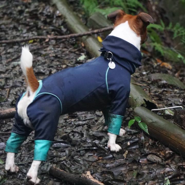 3d134feb ddf5 445a a3d9 4db9e01d88d0