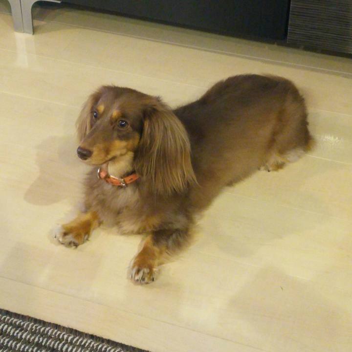 3d138222 0ac5 48da 847d db260e85e0e7