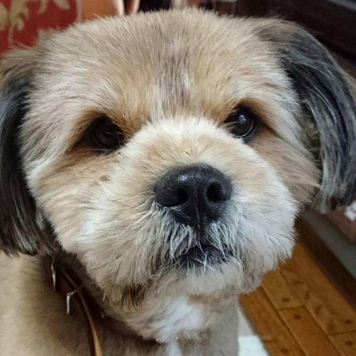 3d13b2b4 f939 4b59 b147 ffe59d2f963e