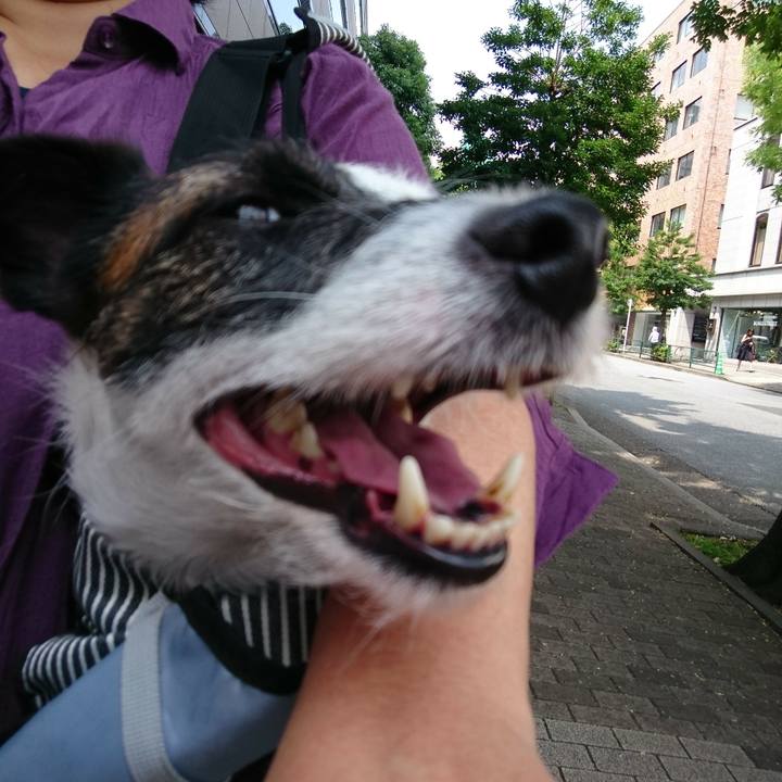 3d14d009 4c0d 472b 881d 23ef114abcb7