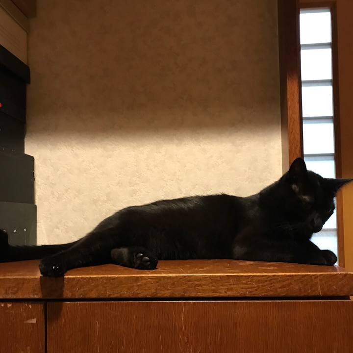 3d14d89e 68cf 467d 99e7 13125c1bd388