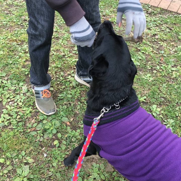 3d14f22e 70bc 48f8 85e2 68a410f9f078