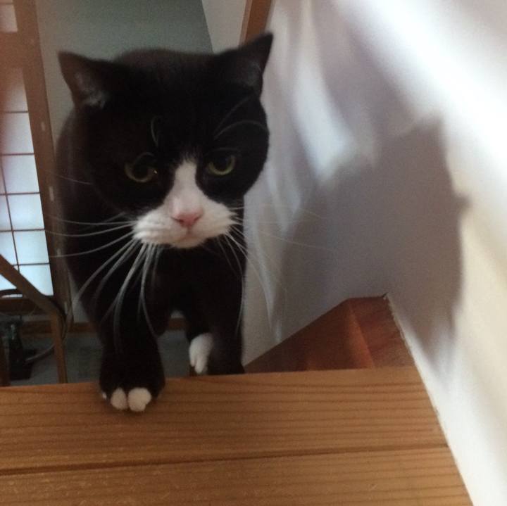 3d153bb1 9e2c 4db2 aa03 cad96c6c1e95