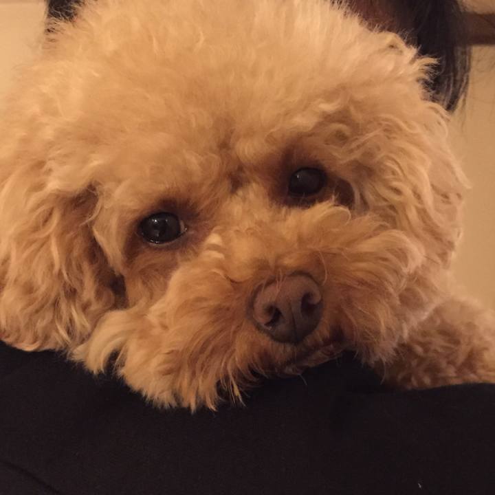 3d15ebf8 7ab2 4398 b85d 5a6999072b71