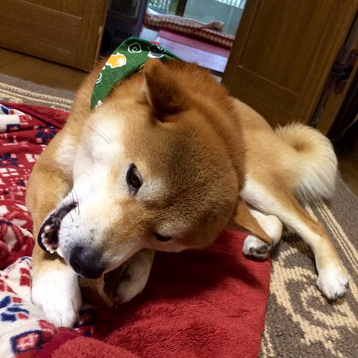 3d172232 ae4d 432c a5ad ca23d33f7ac4