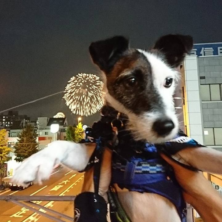 3d17595b 3fc7 46e6 b96b e2acf350531d