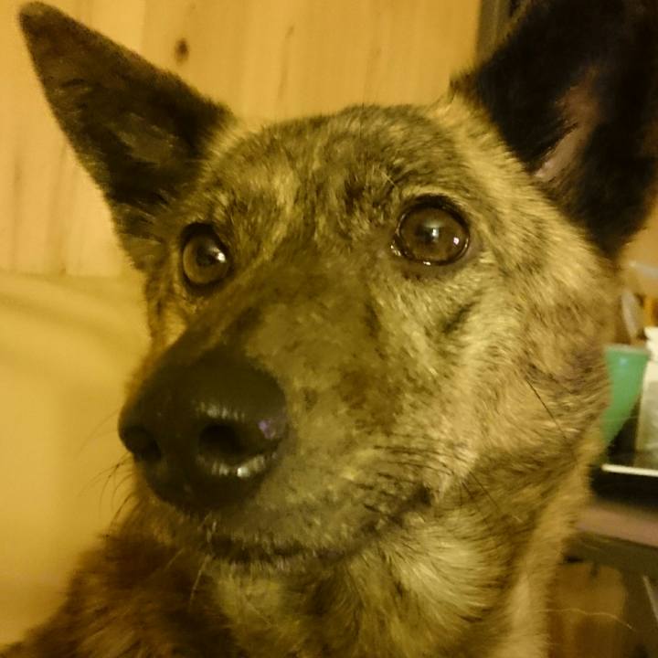 3d17c405 2a48 4680 a633 557c6e79aa37