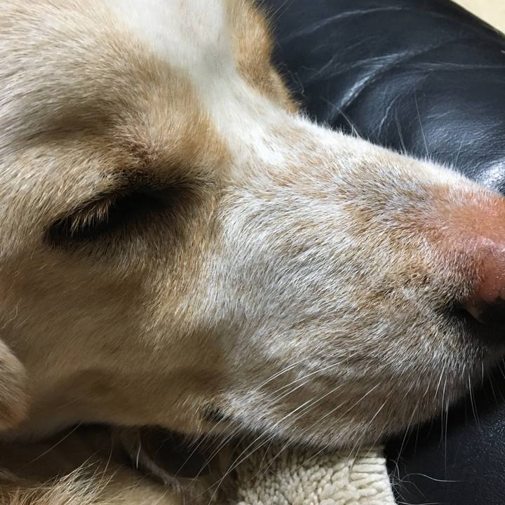 3d17dadb 84f7 47c1 b8a7 e968b909321a