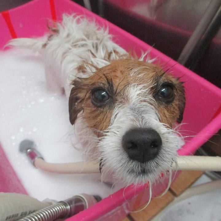 3d186f46 476e 49a1 bf47 683d5347f9f8