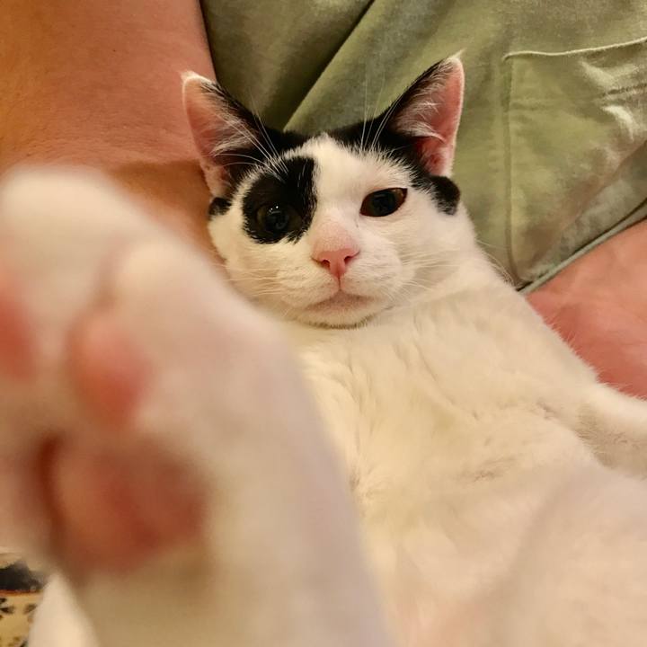 3d194637 0598 4644 8ce5 8f4f52f6a9d7