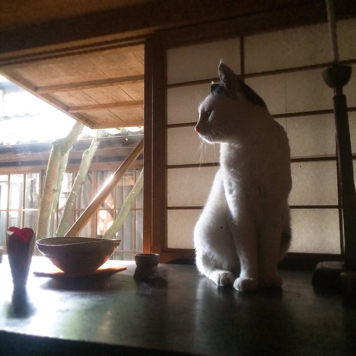 3d1a8ac9 73a3 4d60 a8d6 29e4cc8f6989