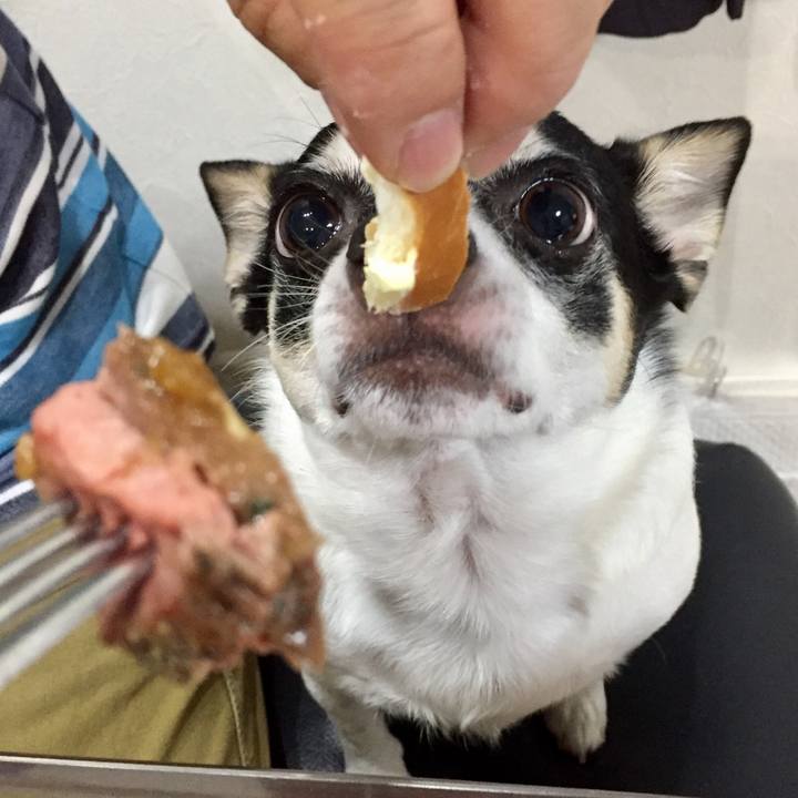 3d1ae1a5 bc9f 42c4 838f d8c1981ab237