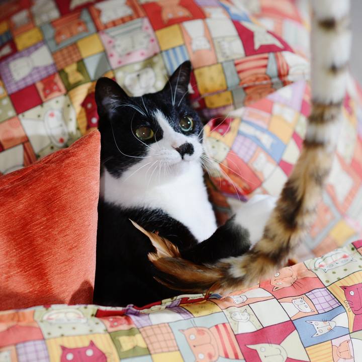 3d1b6390 3306 4934 bb6d 86a4f9777bb4