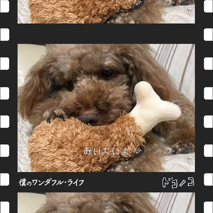 3d1ba894 9a08 459f 8625 8acc063d7282