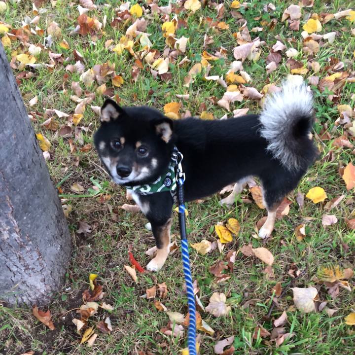 3d1bb281 6f45 4634 8eae 834601a37b58