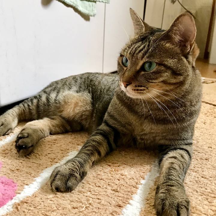 3d1ca3fb 530b 4f09 b34e 781da401eddc