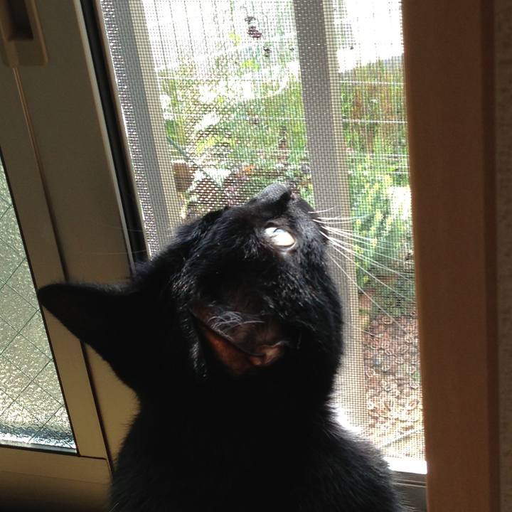 3d1cb0b8 c2ab 48a8 b57e 07d784ea27f7