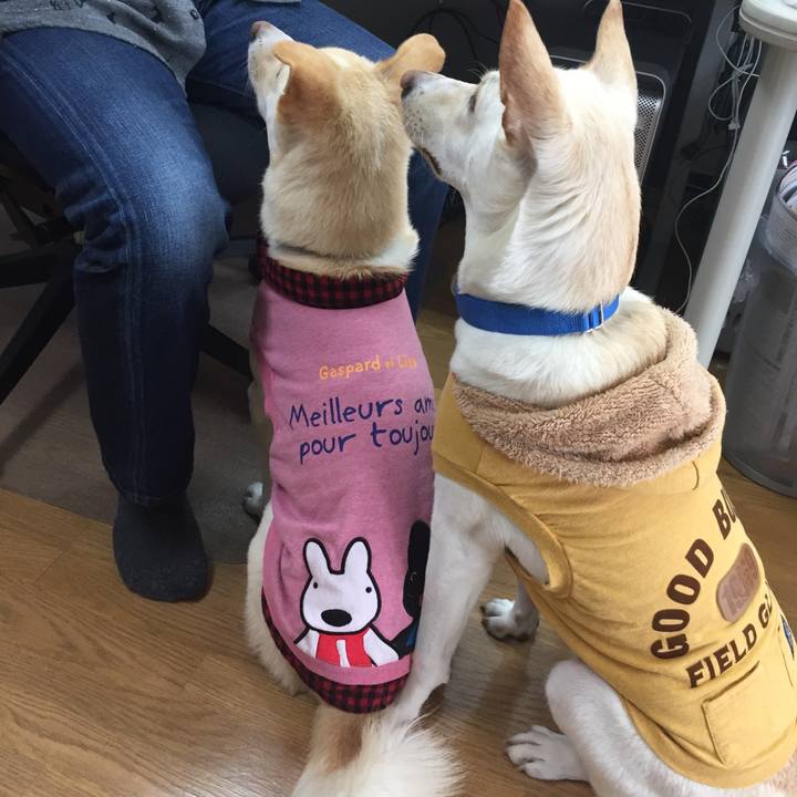 3d1ccbc2 822d 4668 b74c ae2eefc3788e