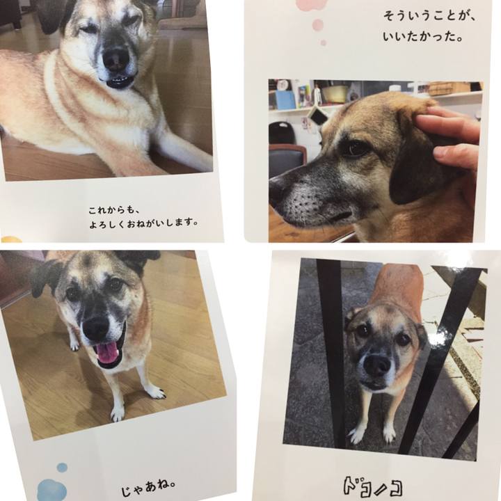 3d1d6bf2 efa7 4dc6 b952 1ddf0736f8b6