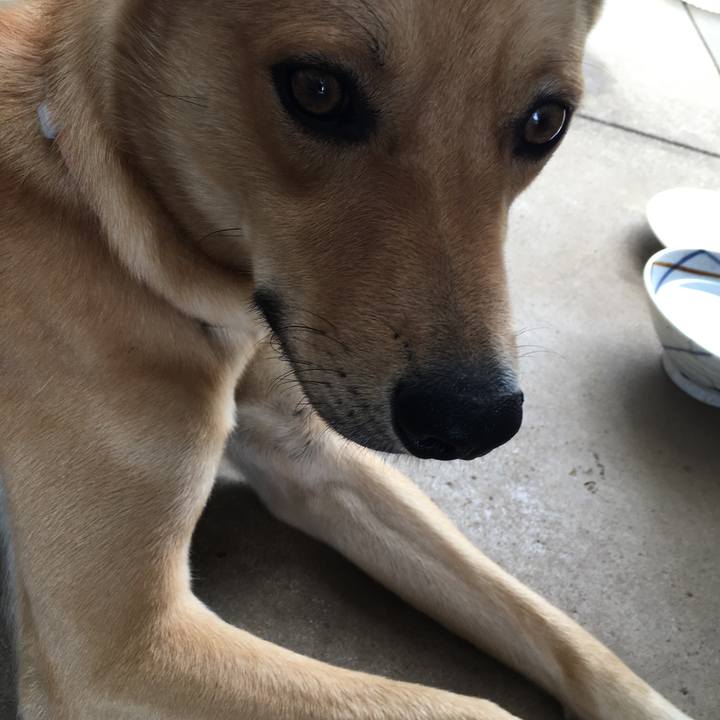 3d1db52c 1725 4c3b a29d 0ab18a90b79e