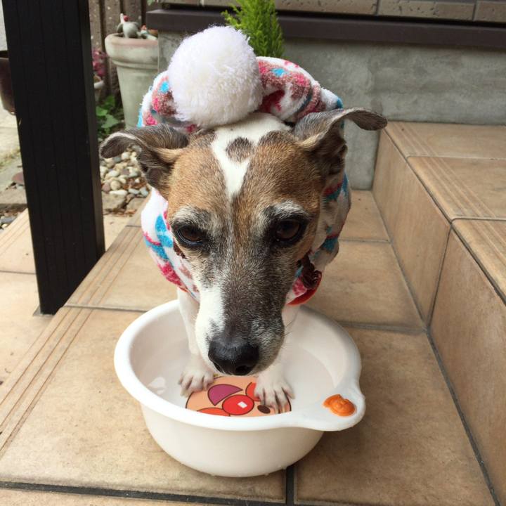 3d1de210 d0c3 48dd 8d72 f7f0d3563483