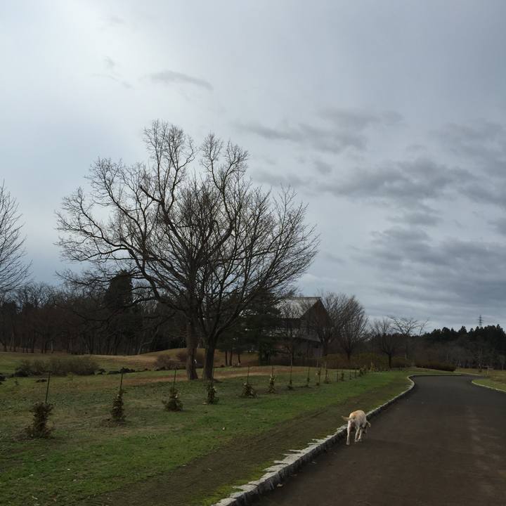 3d1e2fe2 1ae1 428c 8106 aae7b377865a