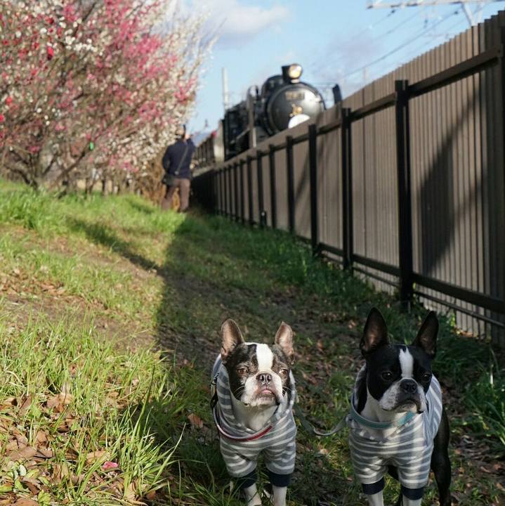 3d1e5e92 a9f1 4bbc bef9 374b6981327a