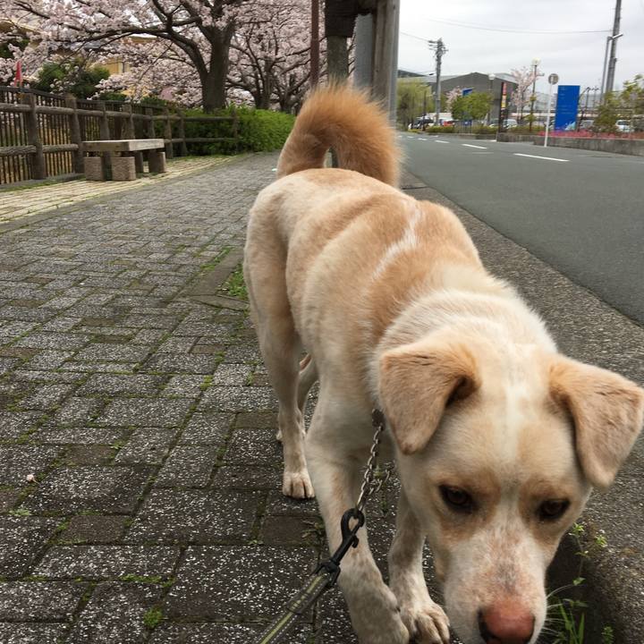 3d1eb81e 1c56 4eed b782 c0e6acb4c4f5