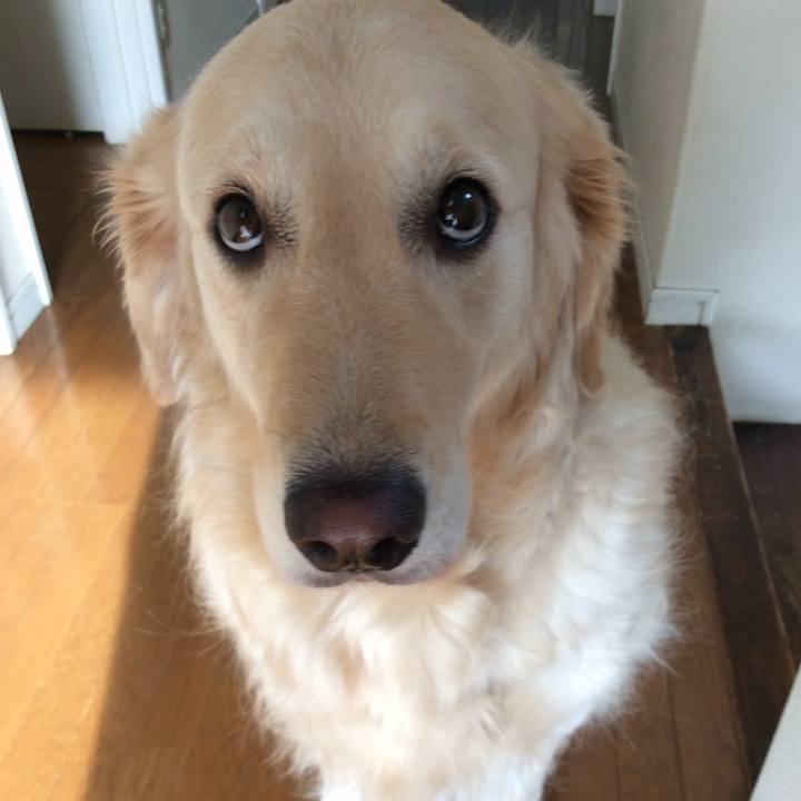 3d1f11a1 0edd 4a10 a642 00b00fe7826a