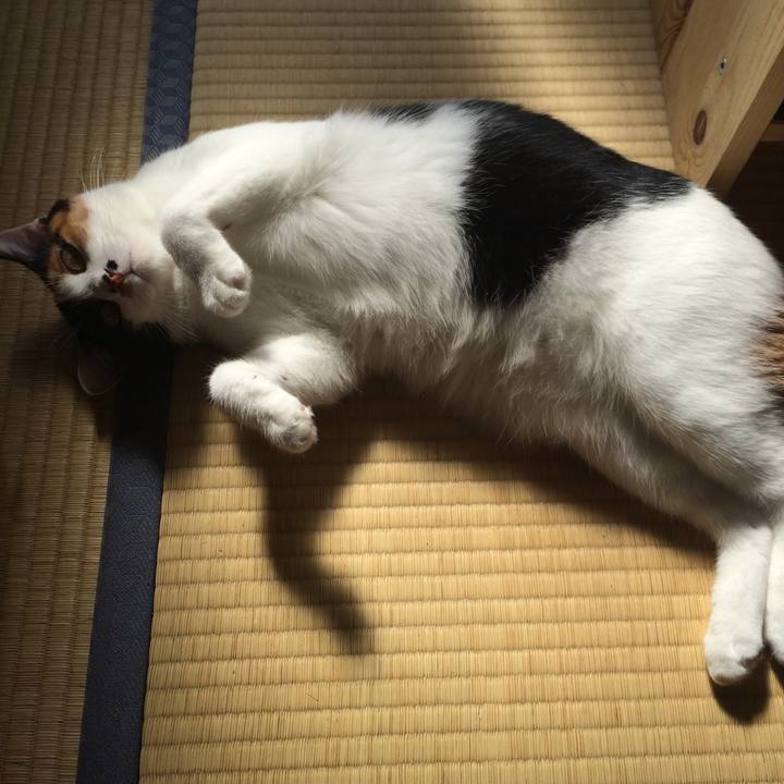 3d1f9d6c 3217 4c6c a559 c31d065faf4a