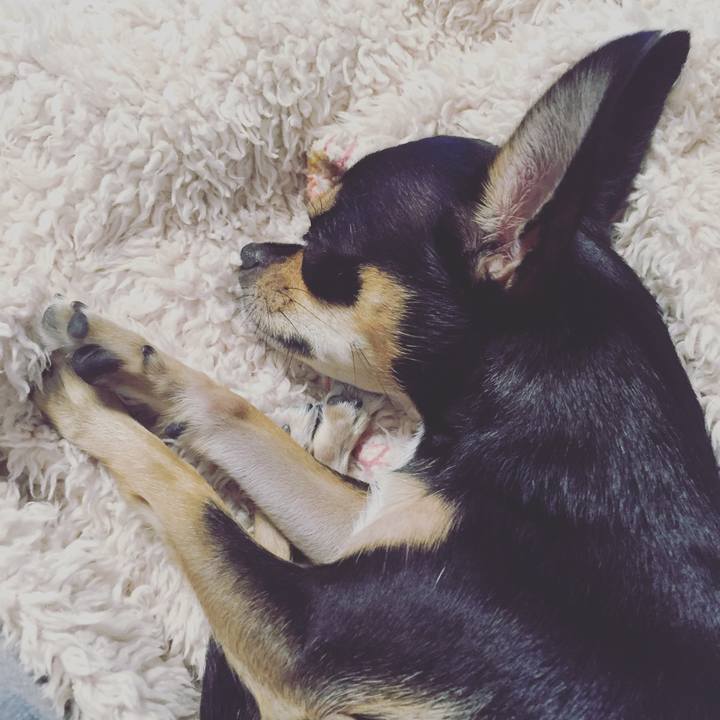 3d202158 8e7b 4b1b a361 704b959d8358