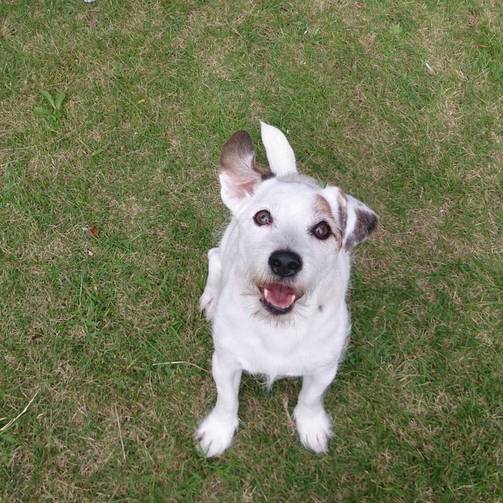 3d209ffa d464 4d32 b1aa 44c9b7de4c4d