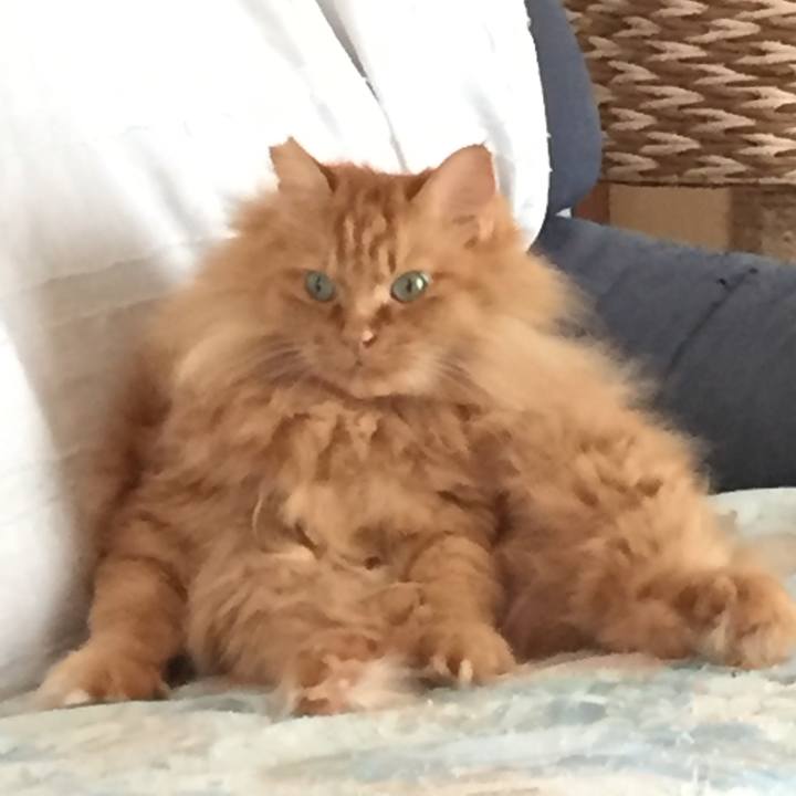 3d20b57f b891 4f94 a18d df328ad1fcd2