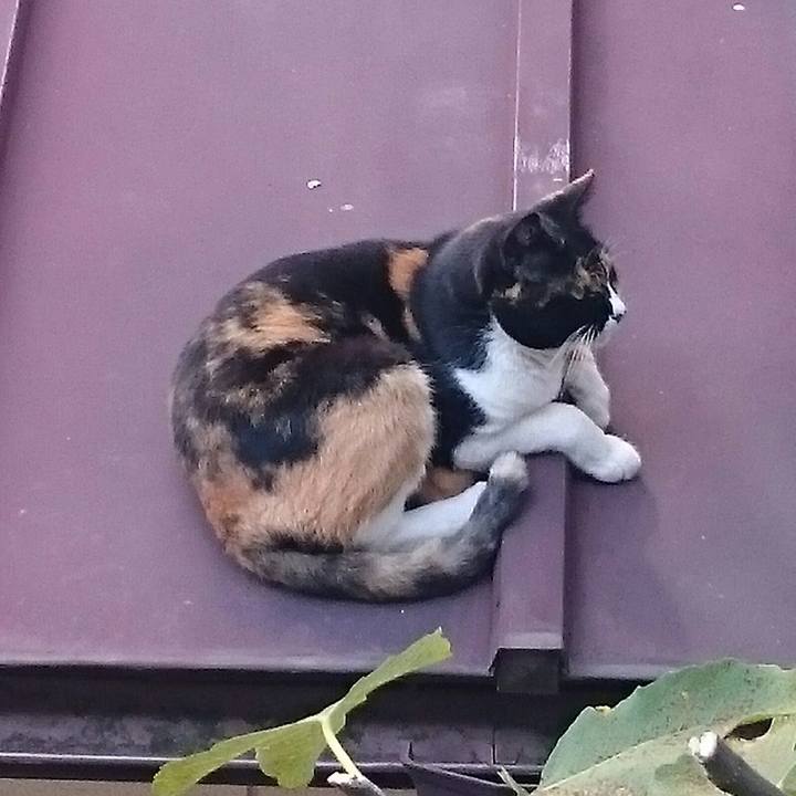 3d20f805 0ee8 4da6 b150 255401a381e6