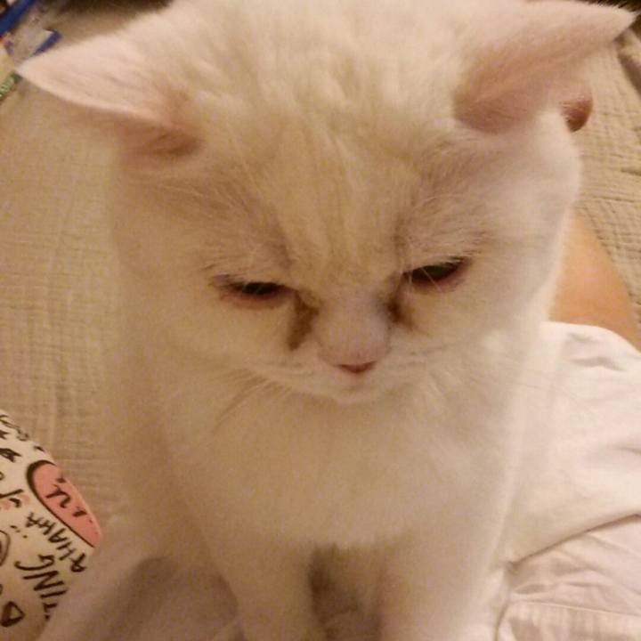 3d21d71c 4ed6 430e ac26 6bdfab69ff98