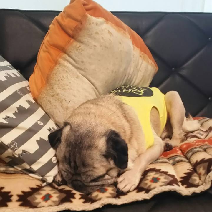 3d21e0e3 cb63 4b20 a0a3 27e698ab3532