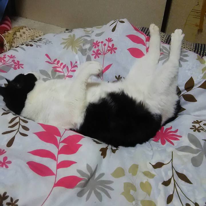 3d221992 5bc8 4d13 8231 a21d636808f0