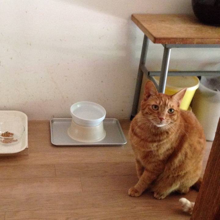 3d223e48 e814 4ecb b82c 794ce2d509fa