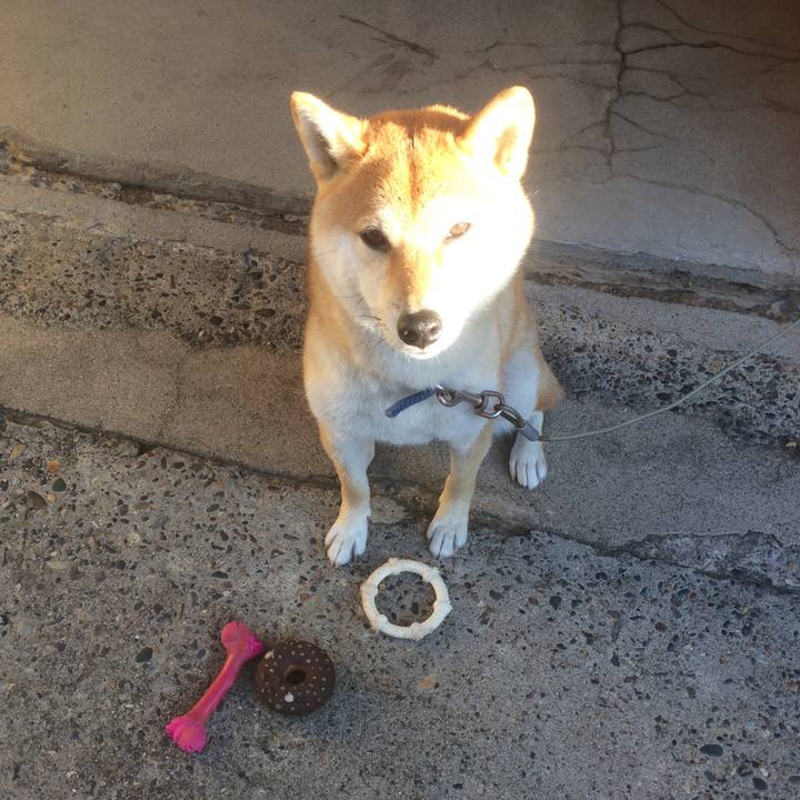 3d228eb9 63a8 4934 82af 8ded42c41d66