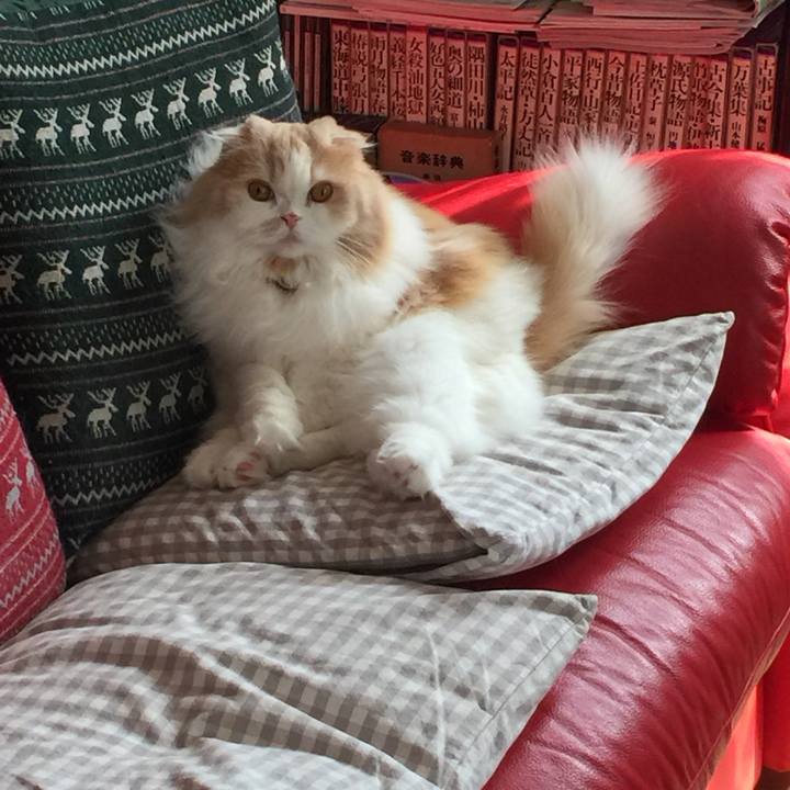 3d22dcad 0cfd 45ef 95b3 3ea9d0f971e0