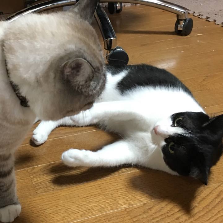 3d231ef9 a506 44e6 9eb0 27733bbee881