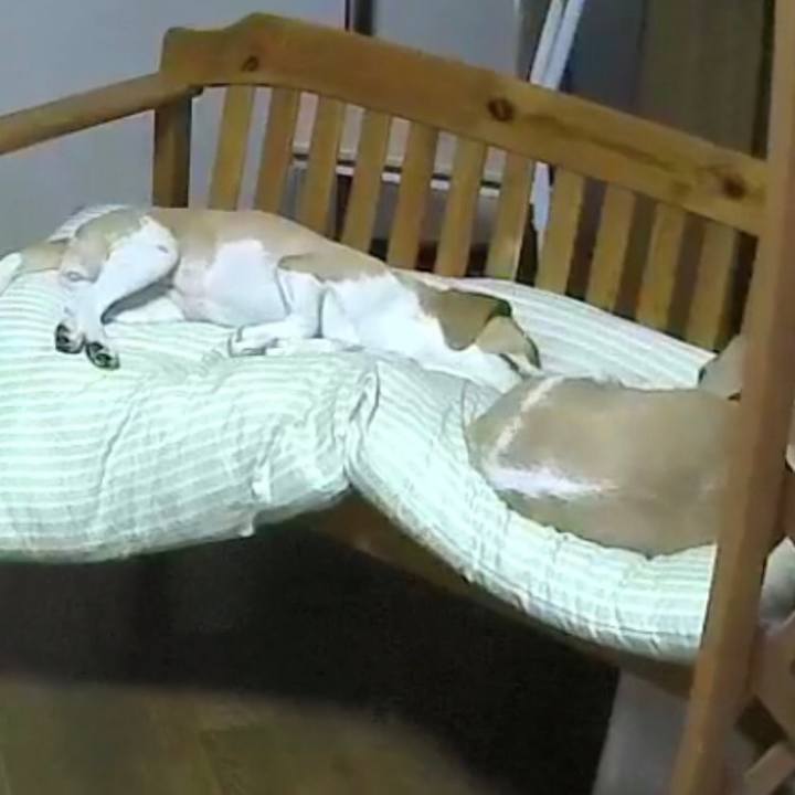 3d234a42 698e 4da7 add7 e8fec3c1f885