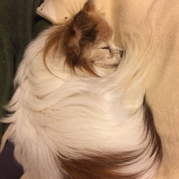 3d237624 d07f 498d a28e 1f0702daca15